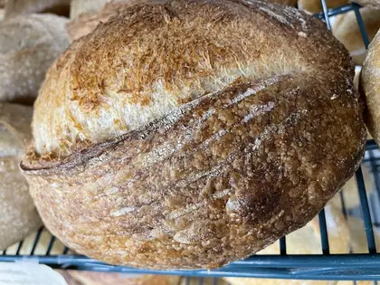 Organic Sourdough Breads