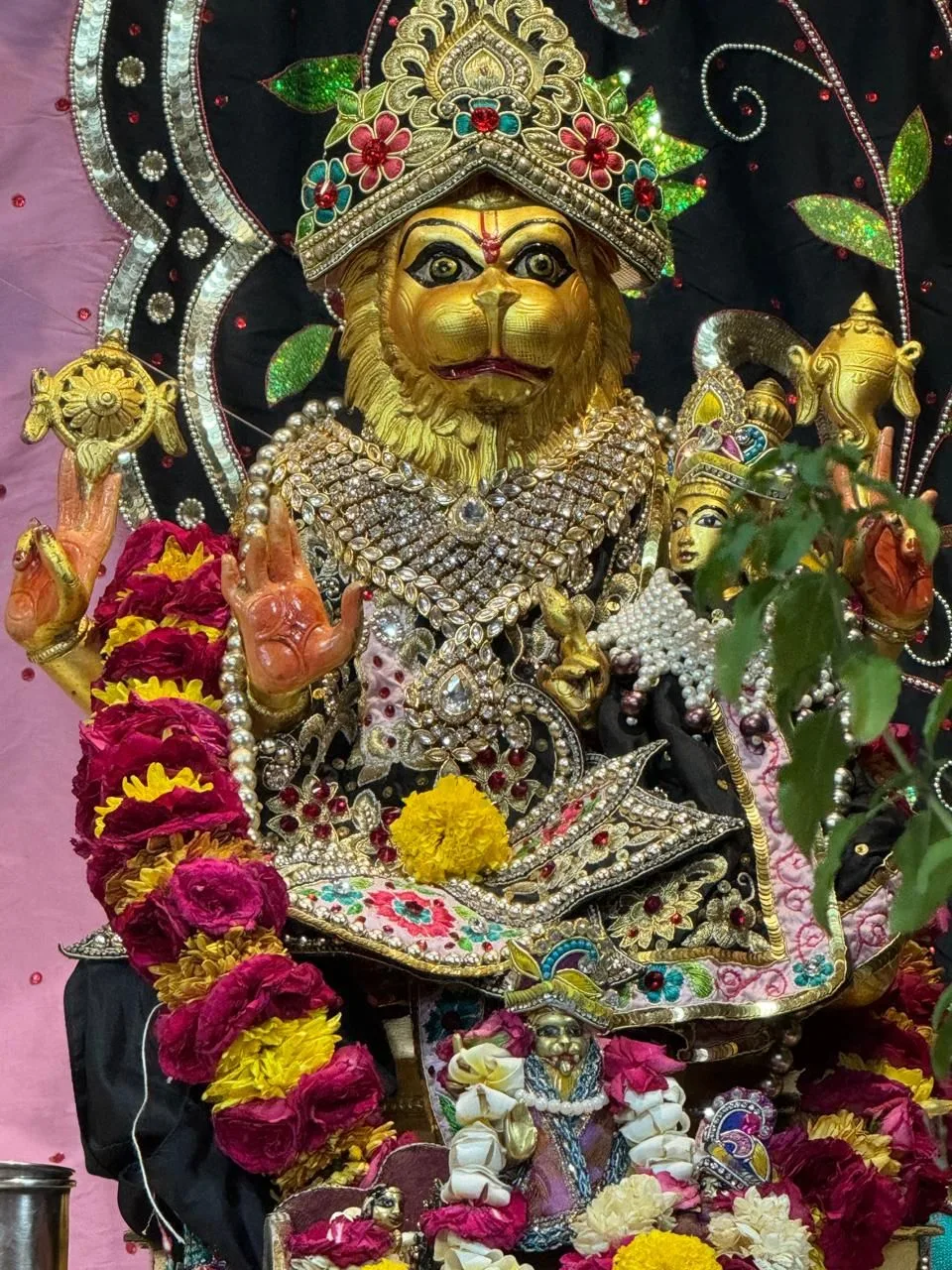 Shah image
